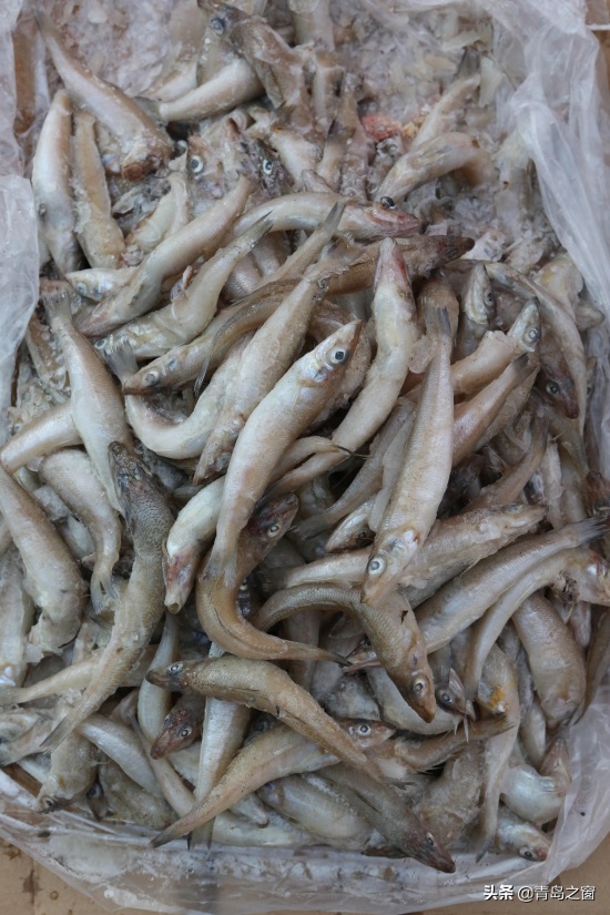 早市上海鲜便宜了 购买的顾客却少了 这是咋回事？