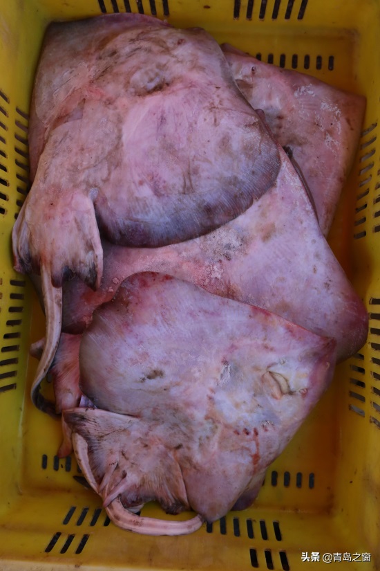 早市上海鲜便宜了 购买的顾客却少了 这是咋回事？