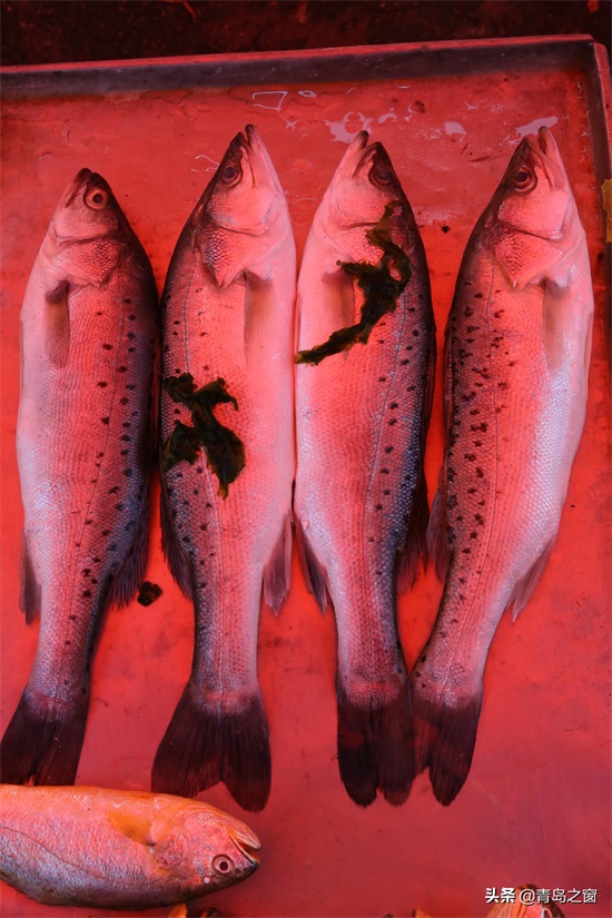 早市上海鲜便宜了 购买的顾客却少了 这是咋回事？