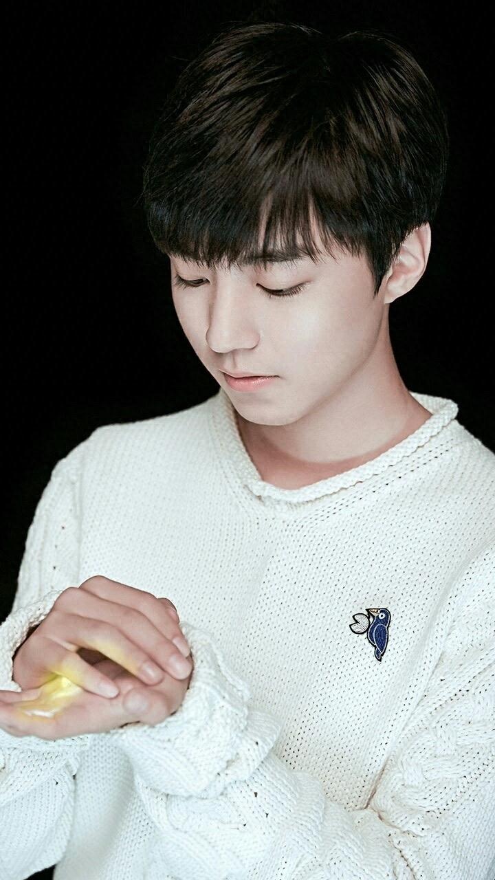 壁纸|王俊凯的女朋友收图啦