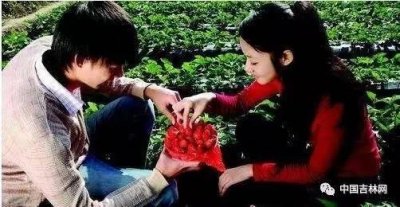 ​长春周边草莓采摘地图 教你如何挑草莓！