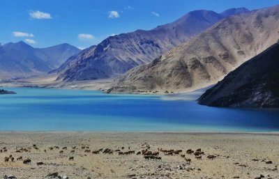 ​新疆喀喇昆仑！一条传奇公路，一般人没走过，震撼人心的跨境公路