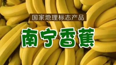 ​南宁特产—南宁香蕉