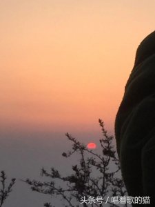 ​爬过泰山的还想再爬一次吗