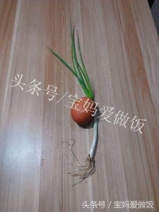 ​微波炉也能蒸蛋：只需5分钟，简单方便，厨房新手也能轻松搞定