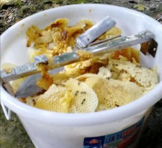 ​你了解蜂腊的用途吗？我们日常都离不开它，还能做成护肤品