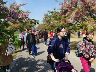 ​辰山植物园｜园内多个餐饮区域可供游客选择