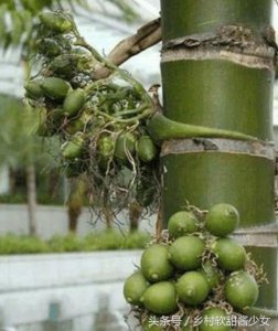 ​男子吃槟榔3年一天4袋，最后张嘴都费劲，医生的话让他当场腿软