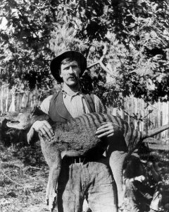 ​袋狼：因为人类的误会一步步走向灭亡的生物