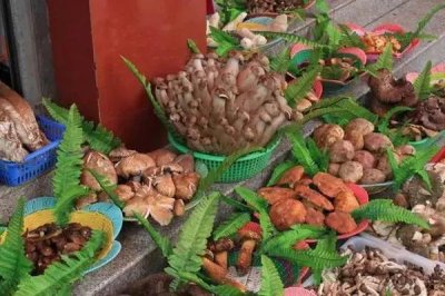 ​野生菌做法大全