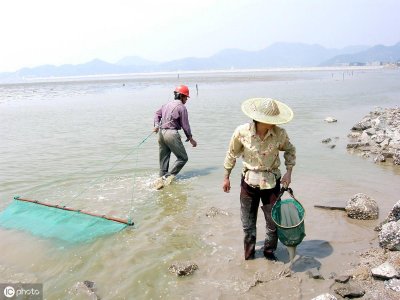 ​海边的农民一旦捕捉到青蟹就说发财了，青蟹到底多少钱一斤呢？