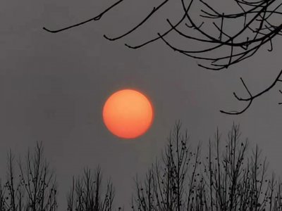 ​中考复习think的用法归纳