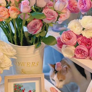 ​夫妻关系再好也不能碰触的20条禁忌