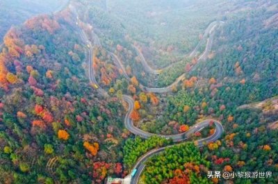 ​安徽自驾游No.2：穿越皖南川藏线，看醉美红杉林