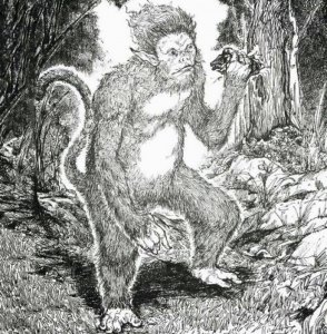 ​神话传说中的异兽系列-狌狌