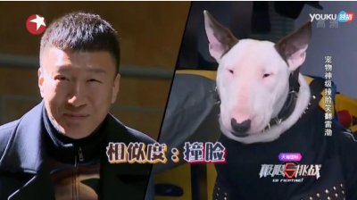 ​极限挑战中与孙红雷撞脸的狗，其实更像林永健-怪异杀手牛头梗