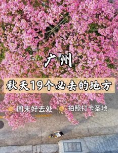 ​19个广州秋天必去的地方，错过等一年！