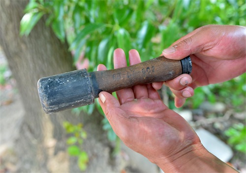 图说武汉｜昔日垃圾填埋场，如今鸟类栖息地