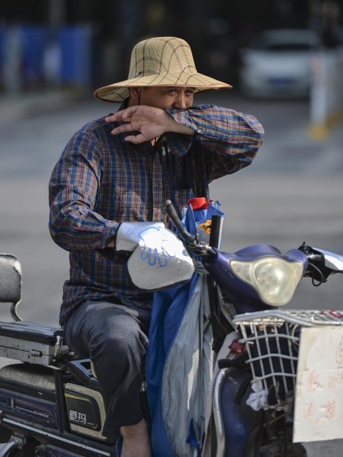 图说武汉｜昔日垃圾填埋场，如今鸟类栖息地