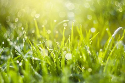 ​为什么反应迟钝，说话声音小的人更聪明