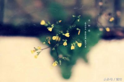 ​春水初生，春林初盛，春风十里，不如你