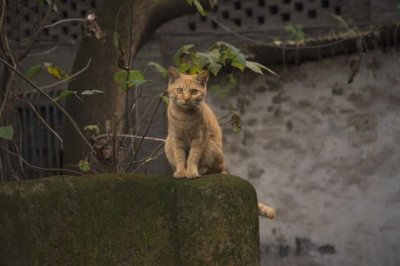 ​“三月怕初一”，为啥？有啥讲究吗？