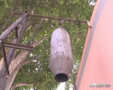 ​枣庄八中风雨路