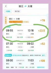 ​丽江到大理：网红双层列车体验