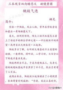 ​三本现言双向暗恋文 久别重逢《桃枝气泡》《向星》《多宠我一点》