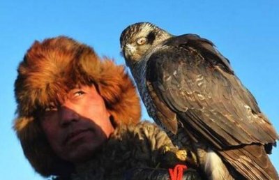 ​熬鹰是怎么一回事？