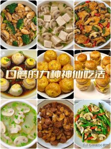 ​口蘑的九种做法简单易学零失败！