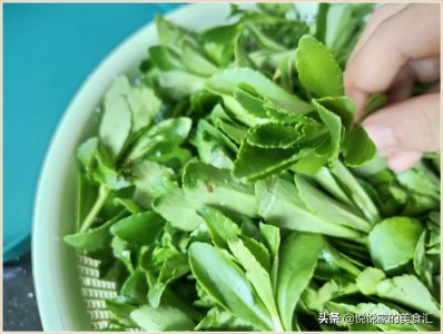 ​夏季必备田七菜，好吃不会做？教您饭店做法，脆嫩入味，实惠划算