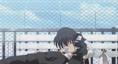 ​《麦萌瞎扯淡》这个天台是诚哥的还是小姐姐们的呢？