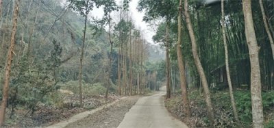 ​人迹罕至烟霞湖