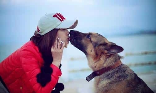 俗语男不养猫女不养狗的原因（农村谚语男不养猫女不养狗的真正原因）