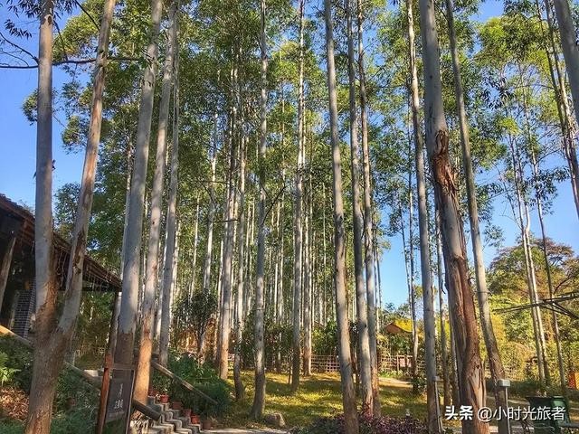 广州免费户外露营地推荐（广州花都奢野露营地）(6)