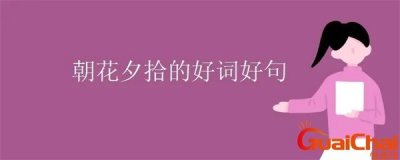 ​朝花夕拾好词好句摘抄及感悟 朝花夕拾好词好句摘抄短一点