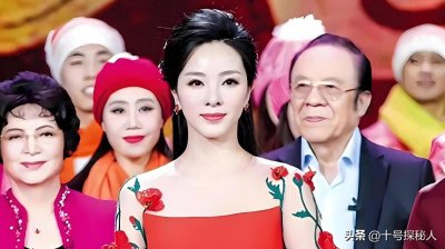 ​被誉为“董卿接班人”的李思思，告别央视转为视频博主近况怎样？