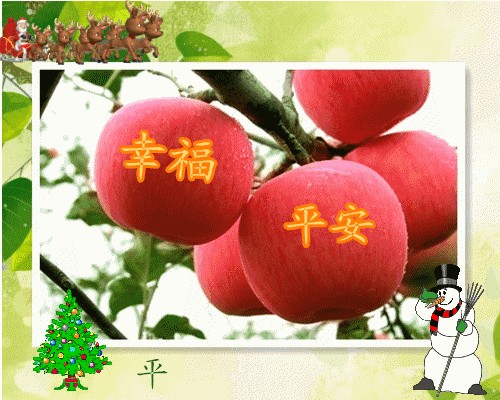 圣诞节吃苹果的含义是什么（为什么平安夜要吃苹果）(2)