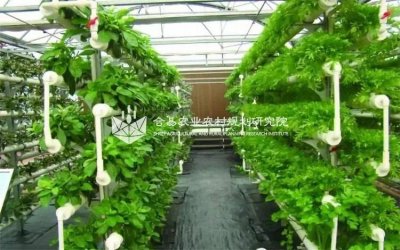 ​适合农村女人在家创业的项目，农村在家创业什么项目合适？