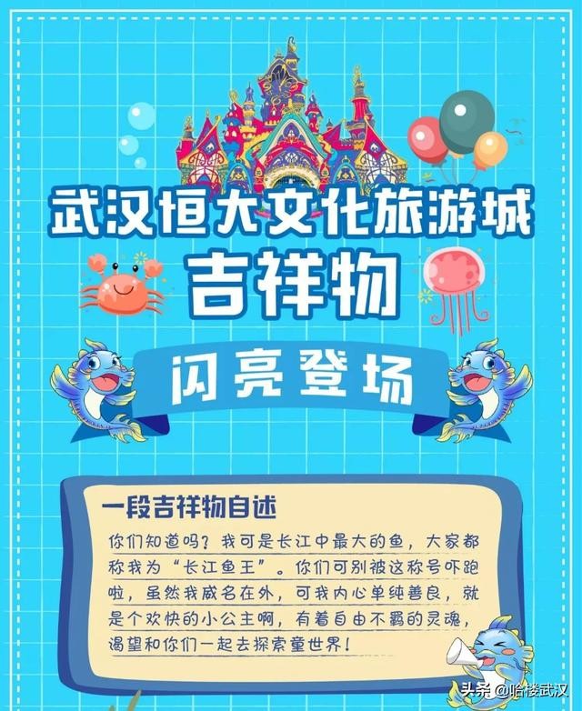 恒大童世界鄂州现状（鄂州恒大童世界超多效果图曝光）(2)