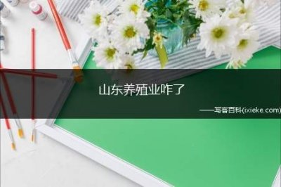 ​山东养殖业咋了(山东养殖户)