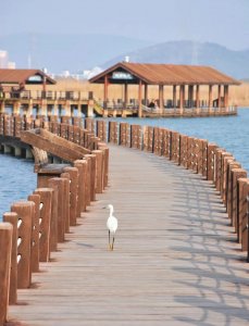 ​收藏！江苏自驾游 这9条路线你去过几条？