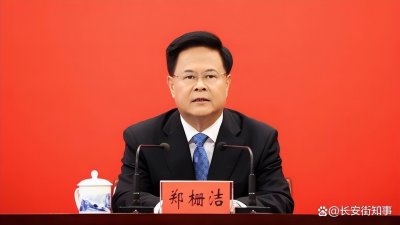 ​郑栅洁任国家发改委主任，曾多次对干部作风提要求（附简历）