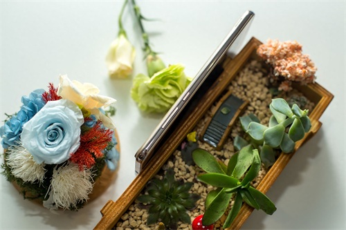 699的手机什么时候变那么美了 荣耀畅玩5A图赏