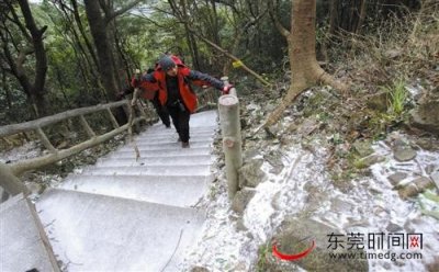 ​罕见！东莞雪花纷飞 百年见一回 你被雪景震惊了吗？