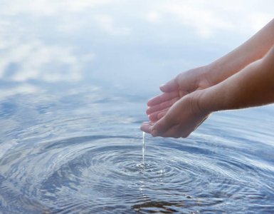 ​水至清，则无鱼；人至察，则无徒