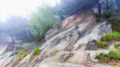 ​临沂蒙山龟蒙顶名字的由来，为什么叫龟蒙顶？