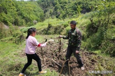 ​10岁女孩去外公家过年呆105天，上网课看朱鹮，外公的手感动了她