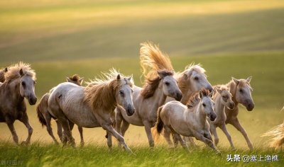 ​宁静安详的《周易》坤卦